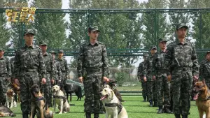 Backdrop to the movie "The Big Rescue" #536822