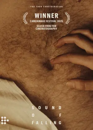 Poster to the movie "Sound of Falling" #524044