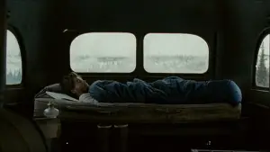 Backdrop to the movie "Into the Wild" #677230