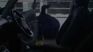 Backdrop to the movie "Magenta House" #553944