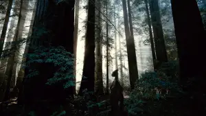 Backdrop to the movie "The Tree of Life" #723967