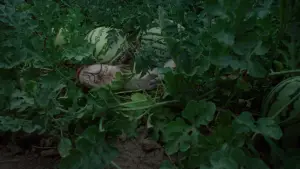 Backdrop to the movie "Badlands" #667951