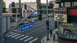 Backdrop to the movie "Sunset Strip" #496754