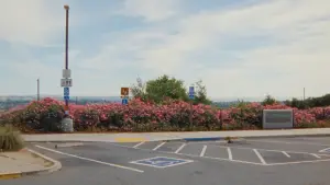 Backdrop to the movie "Zodiac Killer Project" #780231