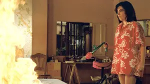 Backdrop to the movie "Women on the Verge of a Nervous Breakdown" #218769