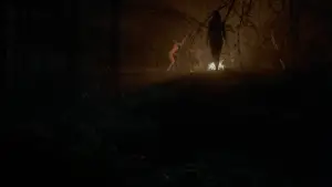 Backdrop to the movie "The Witch" #600179