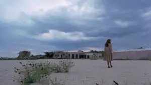 Backdrop to the movie "The Tree of Life" #852820