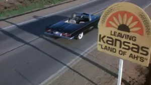 Backdrop to the movie "Elvira, Mistress of the Dark" #278271