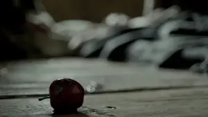 Backdrop to the movie "The Witch" #600231