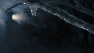 Backdrop to the movie "The Lovely Bones" #654305