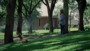 Backdrop to the movie "Badlands" #667954