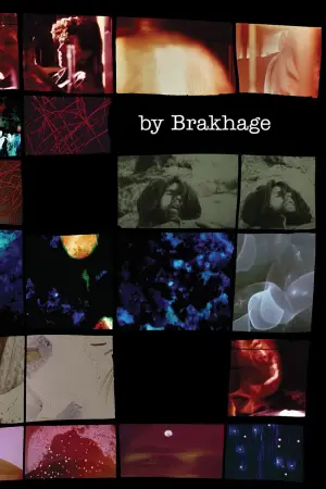 Poster to the movie "Mothlight" #703596