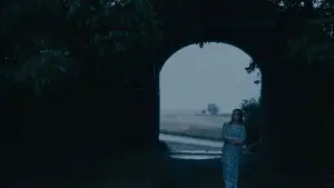 Backdrop to the movie "Year of the Widow" #730343