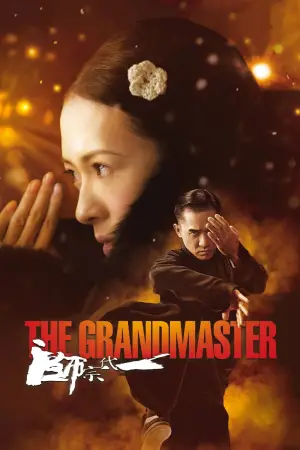Poster to the movie "The Grandmaster" #531979