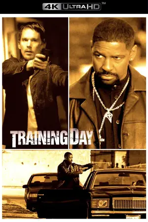 Poster to the movie "Training Day" #789705