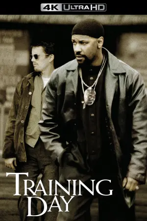 Poster to the movie "Training Day" #211500