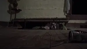 Backdrop to the movie "The Evil Dead" #800594