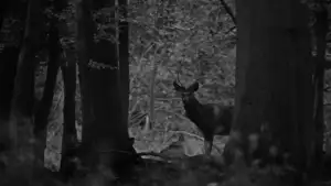 Backdrop to the movie "The Hunt" #930082