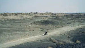 Backdrop to the movie "Black Dog" #600706