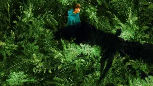 Backdrop to the movie "The Animal Kingdom" #714018