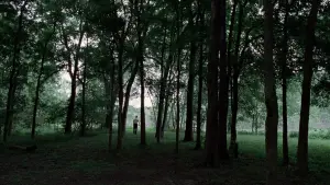 Backdrop to the movie "The Tree of Life" #723963