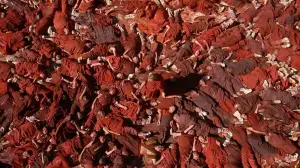 Backdrop to the movie "Kundun" #702180