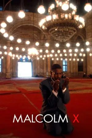 Poster to the movie "Malcolm X" #807128