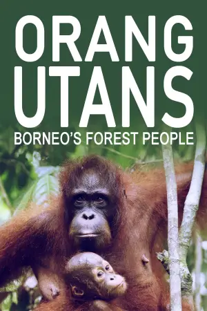 Poster to the movie "Orang Utans - Keepers of the Jungle" #922243