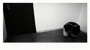 Backdrop to the movie "Untitled/fast&image" #564106