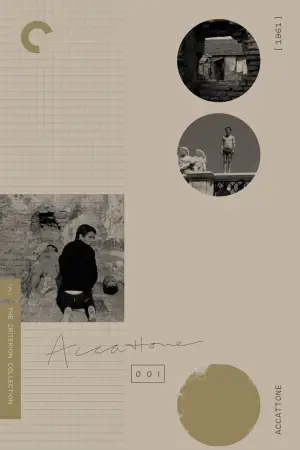 Poster to the movie "Accattone" #755098