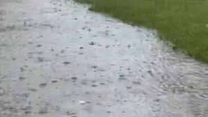 Backdrop to the movie "Drizzle of the Rain" #460276