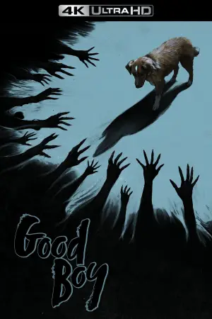 Poster to the movie "Good Boy" #770385