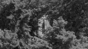 Backdrop to the movie "Materia vibrante" #789091