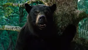 Backdrop to the movie "Cocaine Bear" #718947