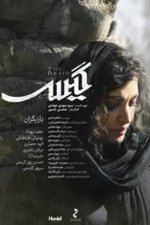 Poster to the movie "Hair" #555116