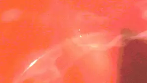 Backdrop to the movie "Kova" #492136