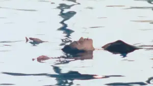 Backdrop to the movie "Door II: Tokyo Diary" #801941