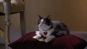 Backdrop to the movie "The Princess Diaries 2: Royal Engagement" #807205