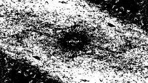 Backdrop to the movie "Insect Theory" #413733