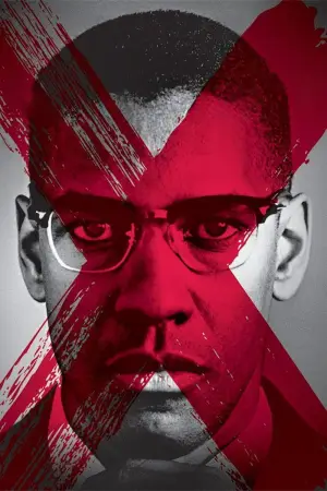 Poster to the movie "Malcolm X" #807132