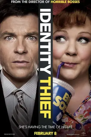 Poster to the movie "Identity Thief" #726909