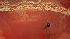 Backdrop to the movie "Decoded" #679584