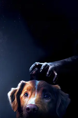 Poster to the movie "Good Boy" #517304