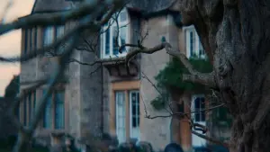 Backdrop to the movie "Where Dragons Live" #491168