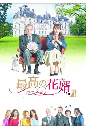 Poster to the movie "Serial (Bad) Weddings" #714977