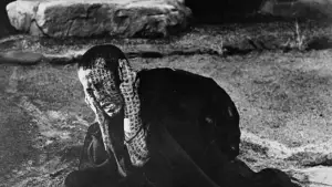 Backdrop to the movie "Kwaidan" #813038