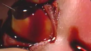 Backdrop to the movie "Guinea Pig: Devil