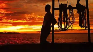 Backdrop to the movie "Forrest Gump" #528491