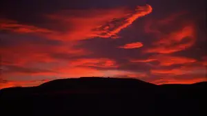 Backdrop to the movie "House of 1000 Corpses" #867753