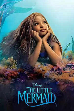 Poster to the movie "The Little Mermaid" #578360